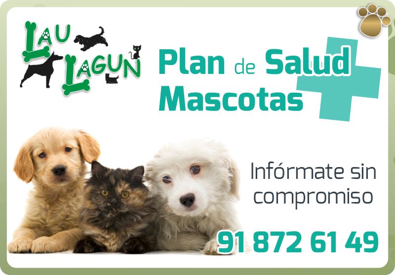 LAU LAGUN CLINICA VETERINARIA